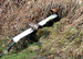 29-Bystřičan.jpg