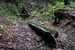 Černá studánka