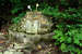 Veverkova studánka