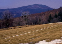 Stezky ve Valašském Meziříčí