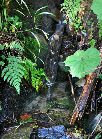 Studánková mapa Meziříčska
