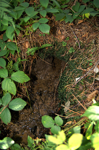 Studánková mapa Meziříčska