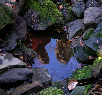 Studánková mapa Meziříčska