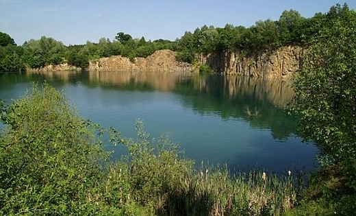 Péče o mokřady