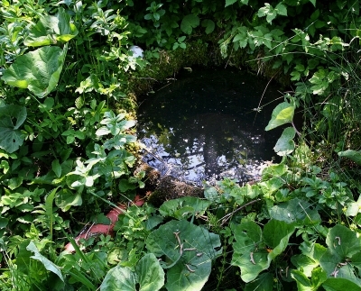 Studánková mapa Meziříčska