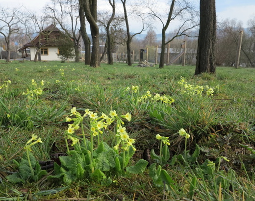 Valašské ekocentrum