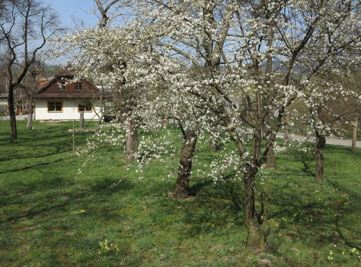 Valašské ekocentrum