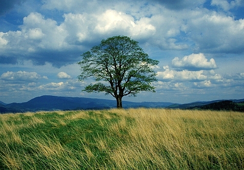 Valašské ekocentrum