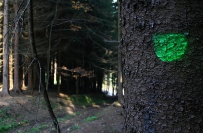 Péče o studánky
